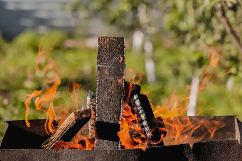 Burning fire with cut wood in metal brazier placed in lush green forest on sunny day